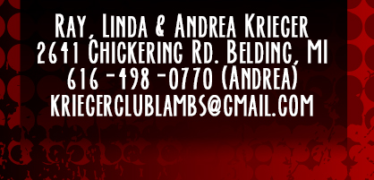 Krieger Club Lambs